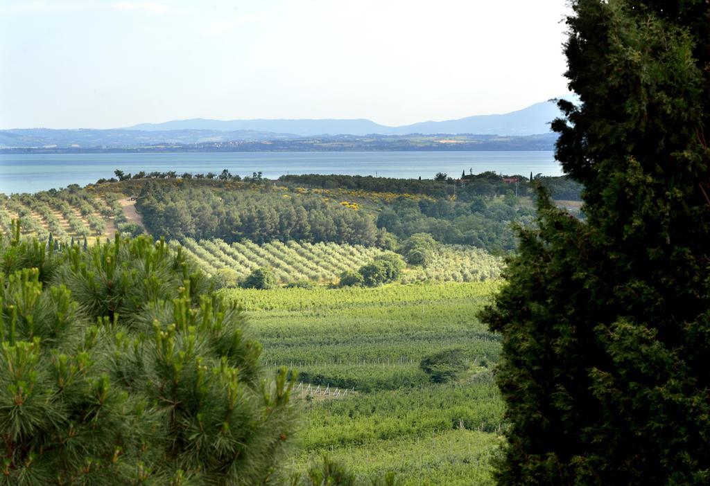 Agriturismo San Severo Passignano sul Trasimeno Buitenkant foto